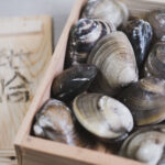 三重桑名 地はまぐり 『特選 桑名天然はまぐり』 | かぎやonlinestore